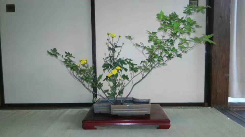 Guest House 鎌倉記憶 Kamakura Exterior foto